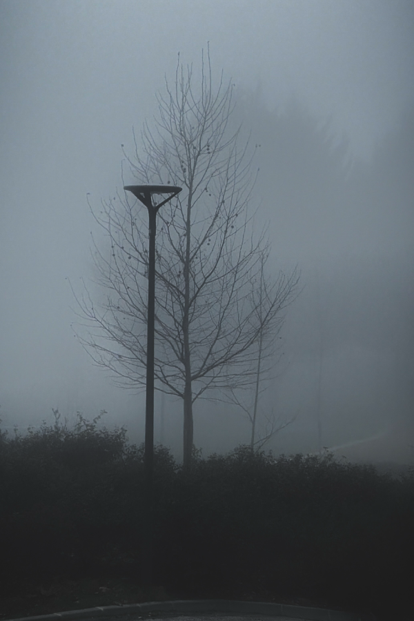 A figure walking into fog beside old stone